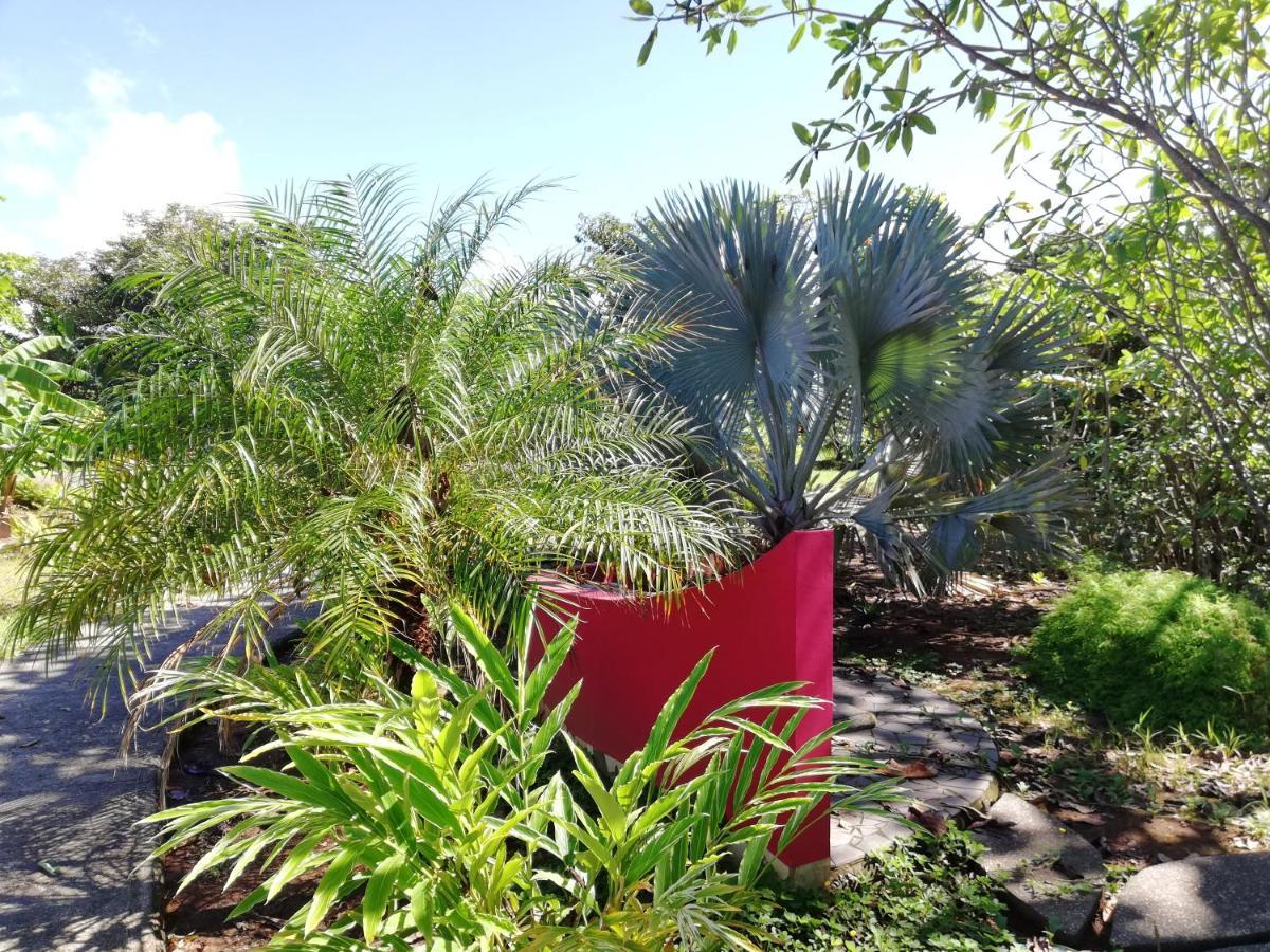 Punta Duarte Garden Inn Los Duarte المظهر الخارجي الصورة