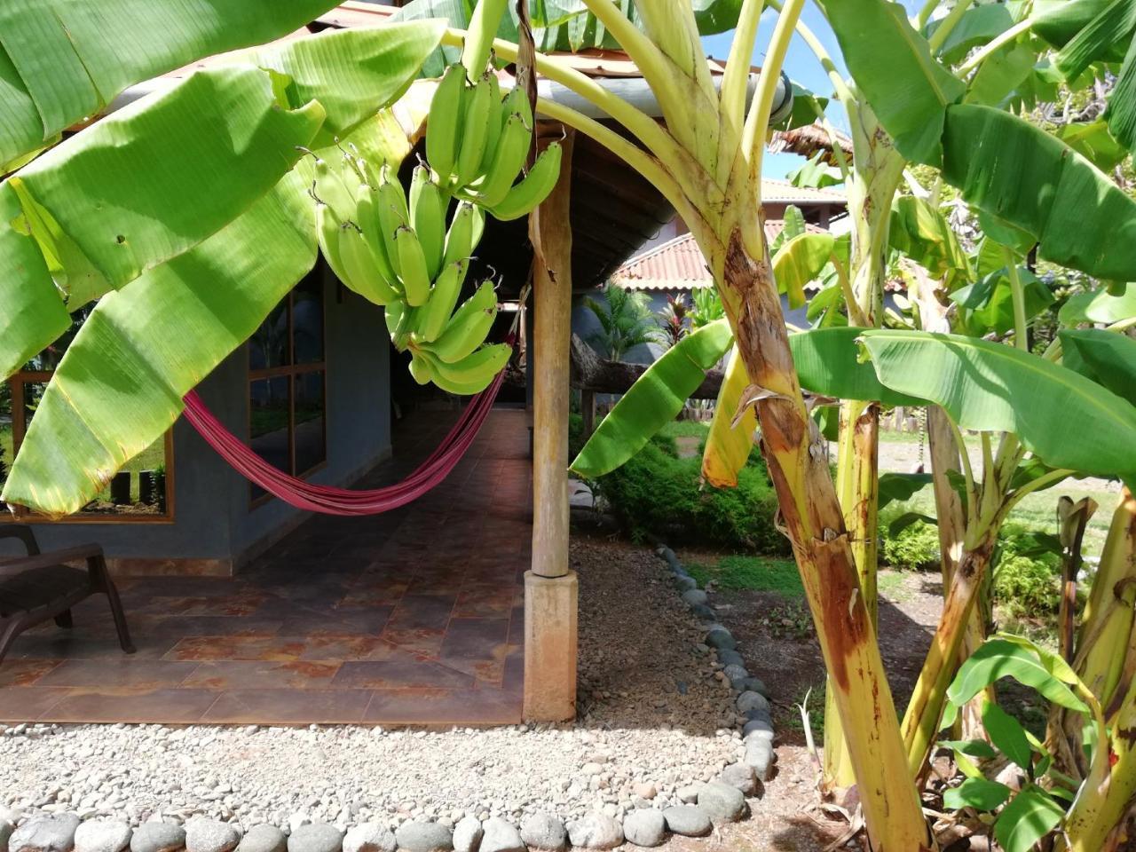 Punta Duarte Garden Inn Los Duarte المظهر الخارجي الصورة